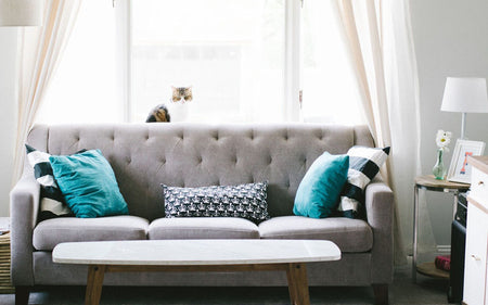 Secrets for the Styling of Your Living Room Sofa