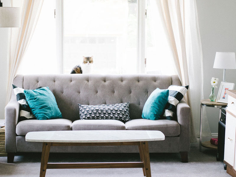 Secrets for the Styling of Your Living Room Sofa