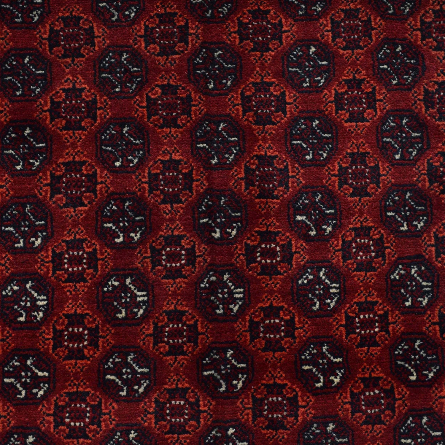 Hand Knotted Khoja Roshnai Carpet 4' 10" x 6' 6" (ft) - No. 1337