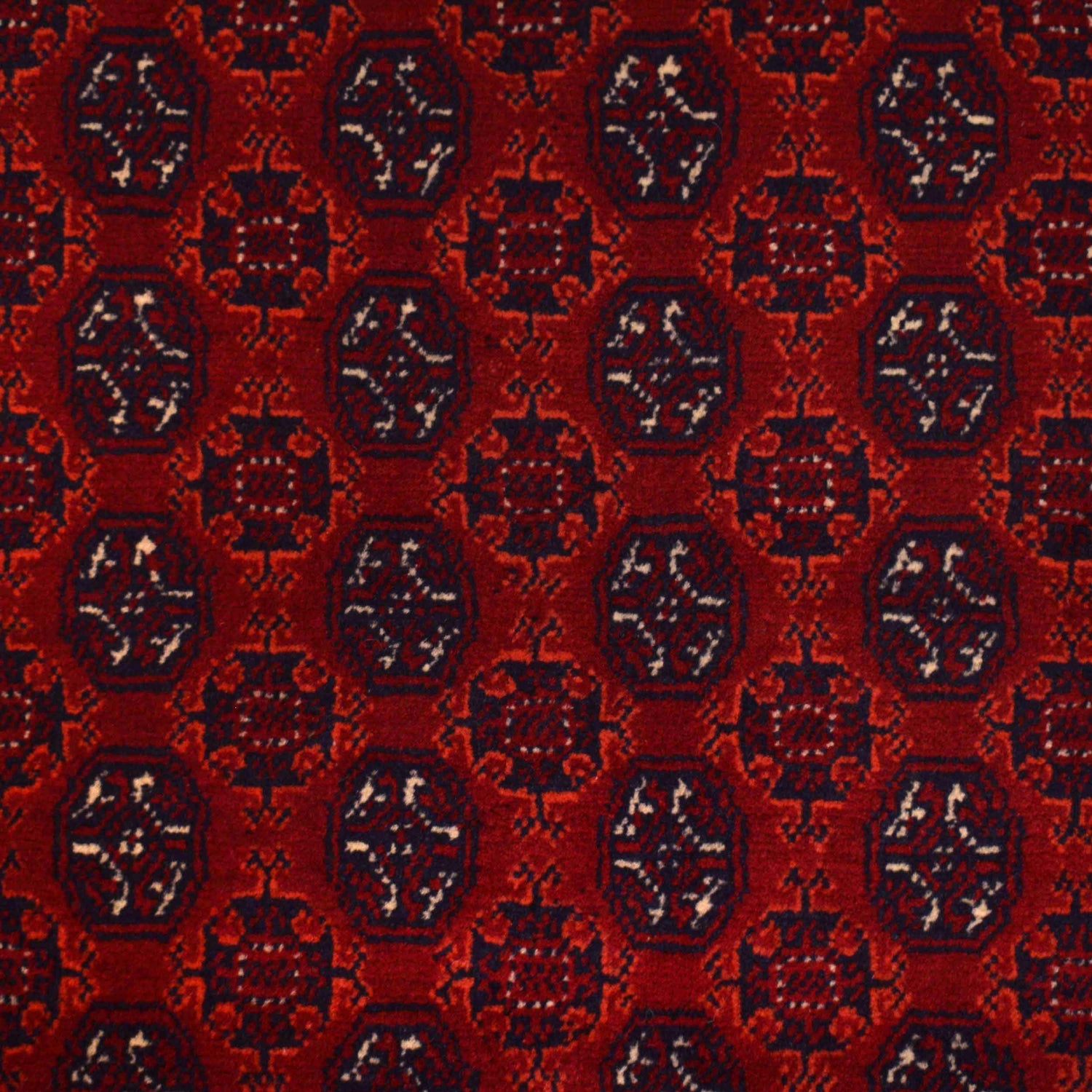 Hand Knotted Khoja Roshnai Carpet 3' 3" x 5' 1" (ft) - No. 1345