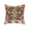 Vegetable Kilim Cushion Cover 1' 4 x 1' 4 (ft) - No.20936