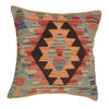 Vegetable Kilim Cushion Cover 1' 7" x 1' 6" (ft) - No. 34468