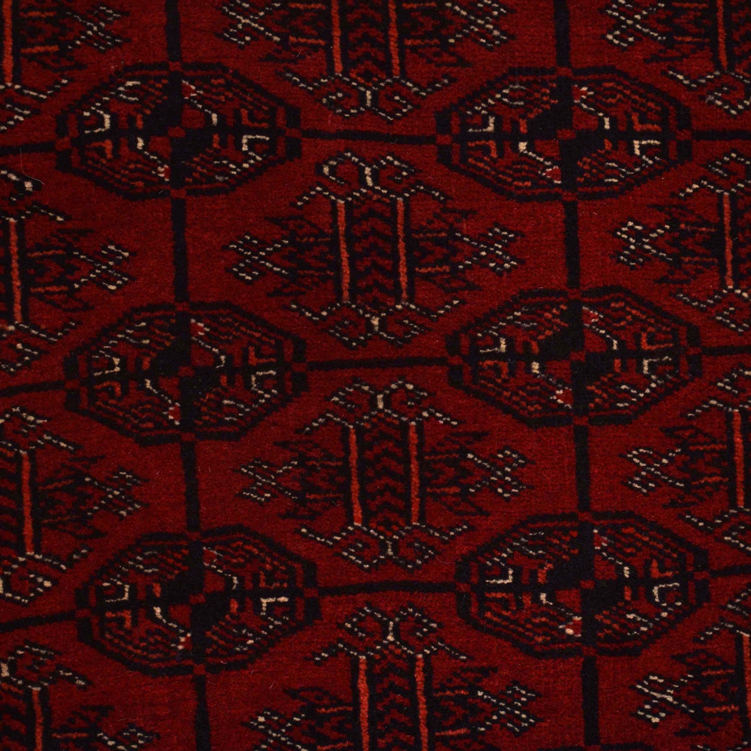 Hand Knotted Bokhara Wool Carpet 3' 11" x 5' 11" (ft) - No. 9034