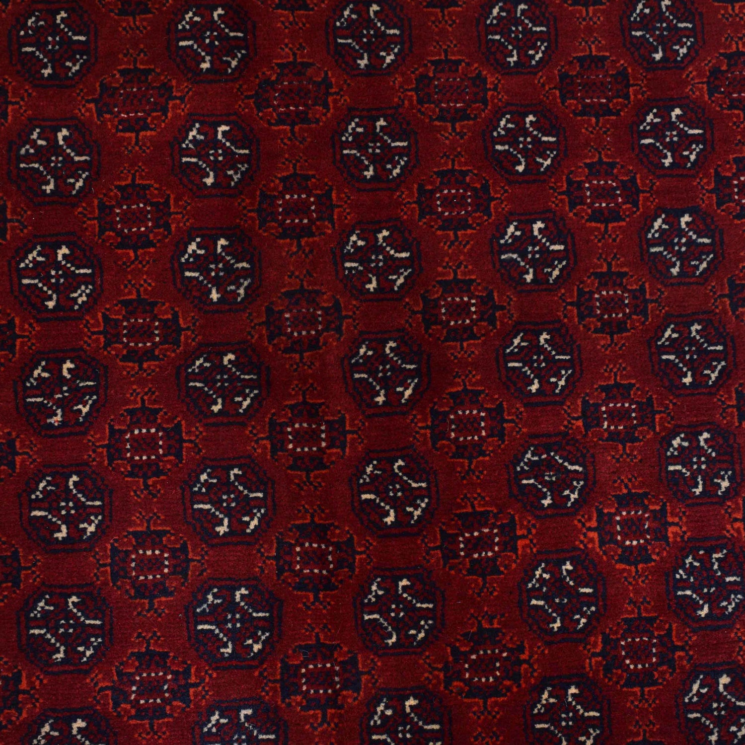 Hand Knotted Khoja Roshnai Carpet 6' 6" x 9' 6" (ft) - No. 9041