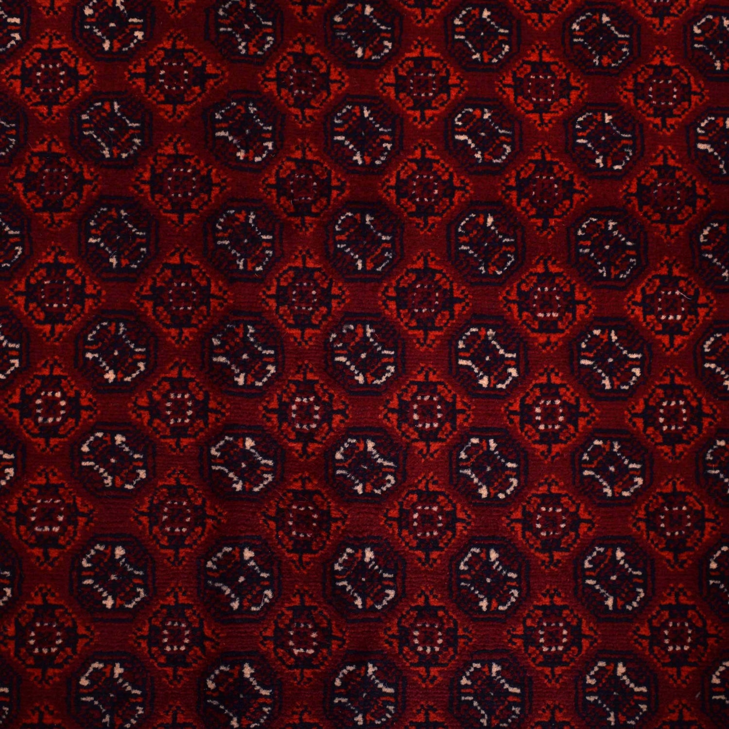 Hand Knotted Khoja Roshnai Carpet 6' 8" x 9' 5" (ft) - No. 9230