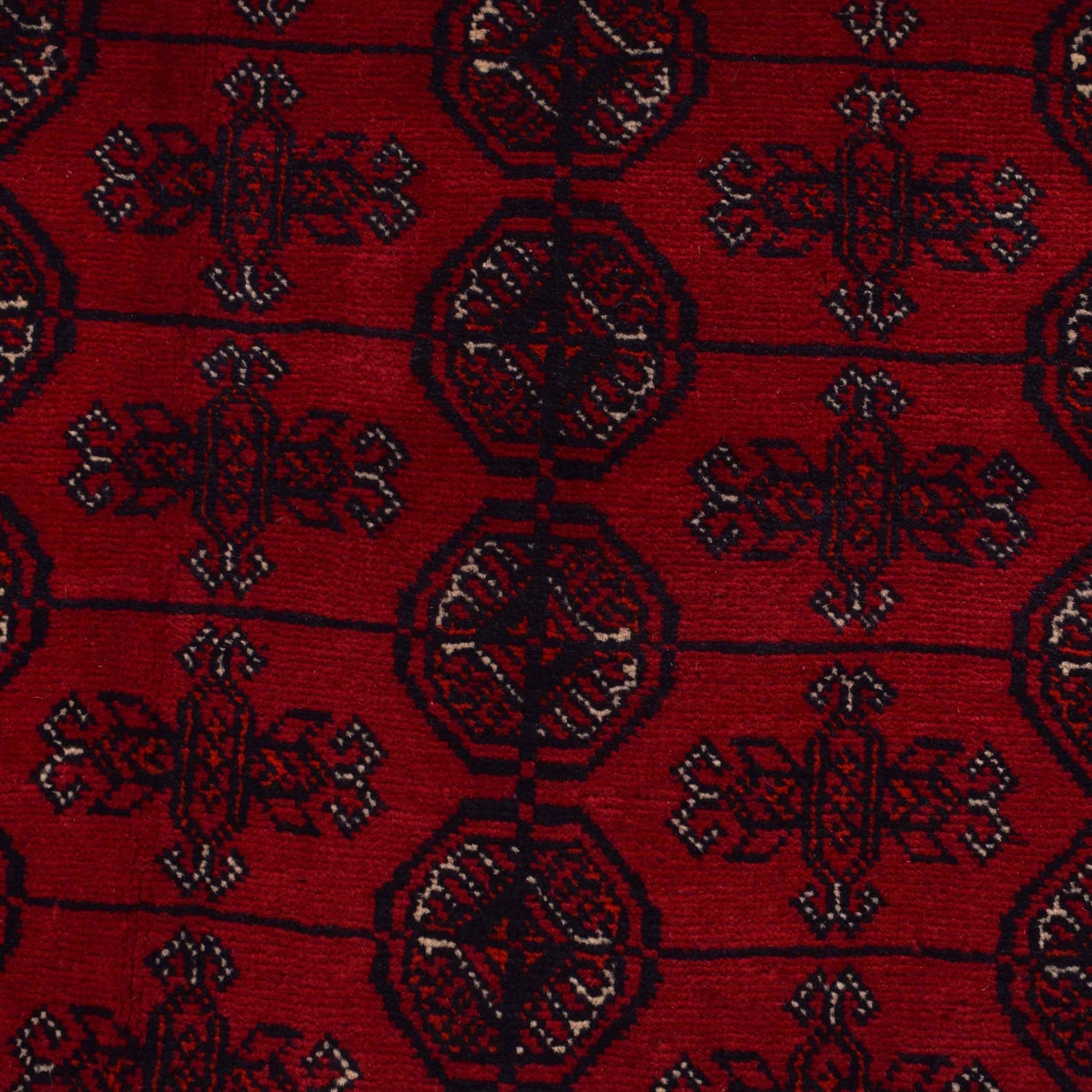 Red Color Bokhara Carpet 8' 3" x 10' 10" (ft) - No. 9246