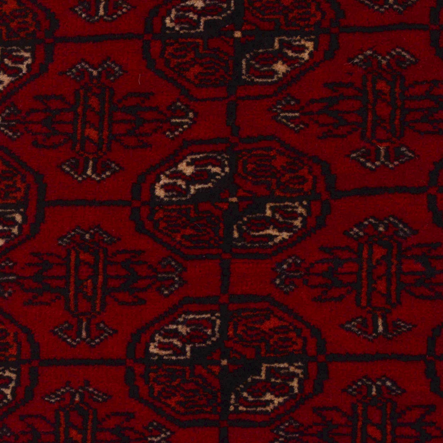 Handmade Bokhara Runner 2' 9" x 6' 2" (ft) - No. B36519