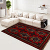 Hand Knotted Baluchi Rug 2' 7 x 4' 5 (ft) - R22033