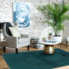 Sea Green Overdye Rug 2' 7 x 4' 3 (ft) - No. R22767