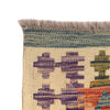 Vegetable Kilim Runner 2' 0 x 6' 0 (ft) - No. B19502