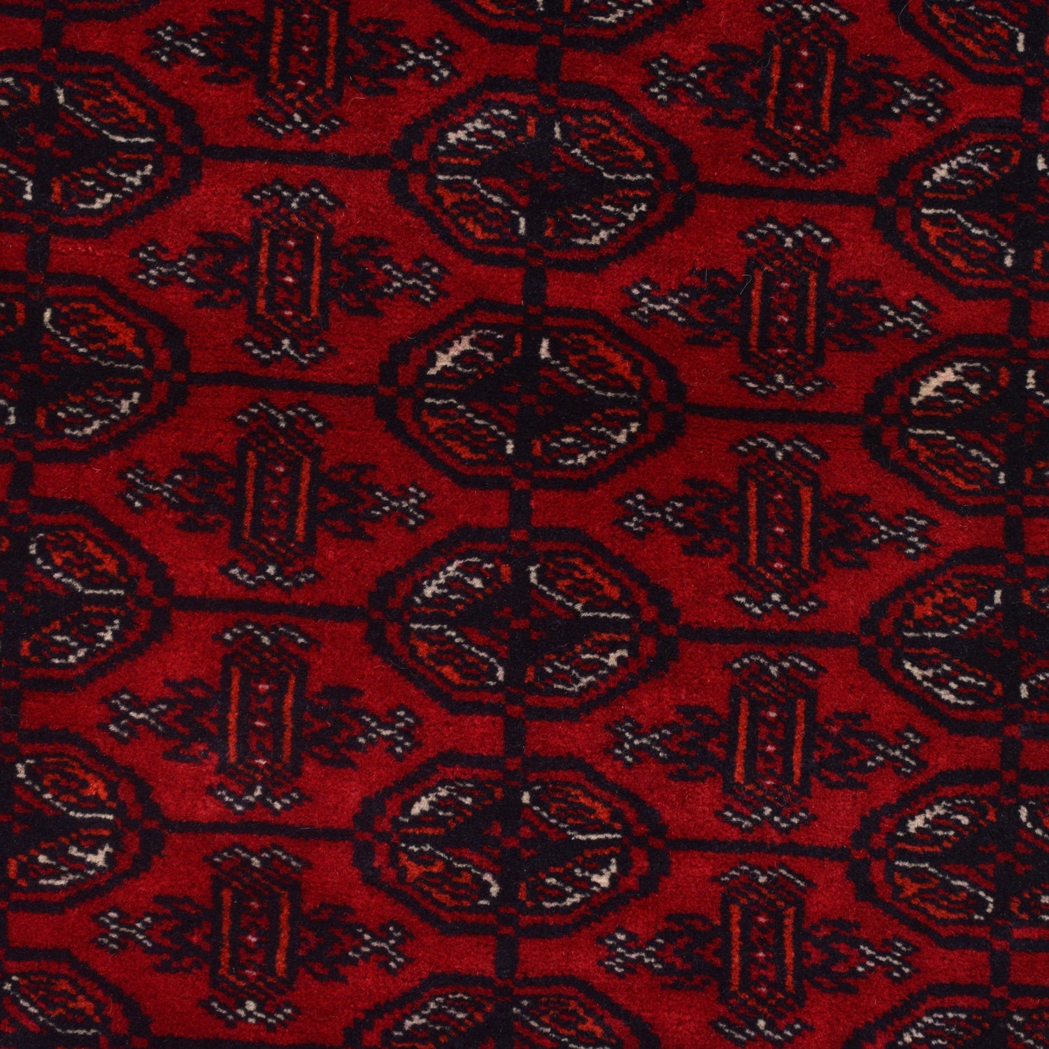 Hand Knotted Bokhara Wool Runner Rug 2' 9 x 5' 6 (ft) - No. G22931