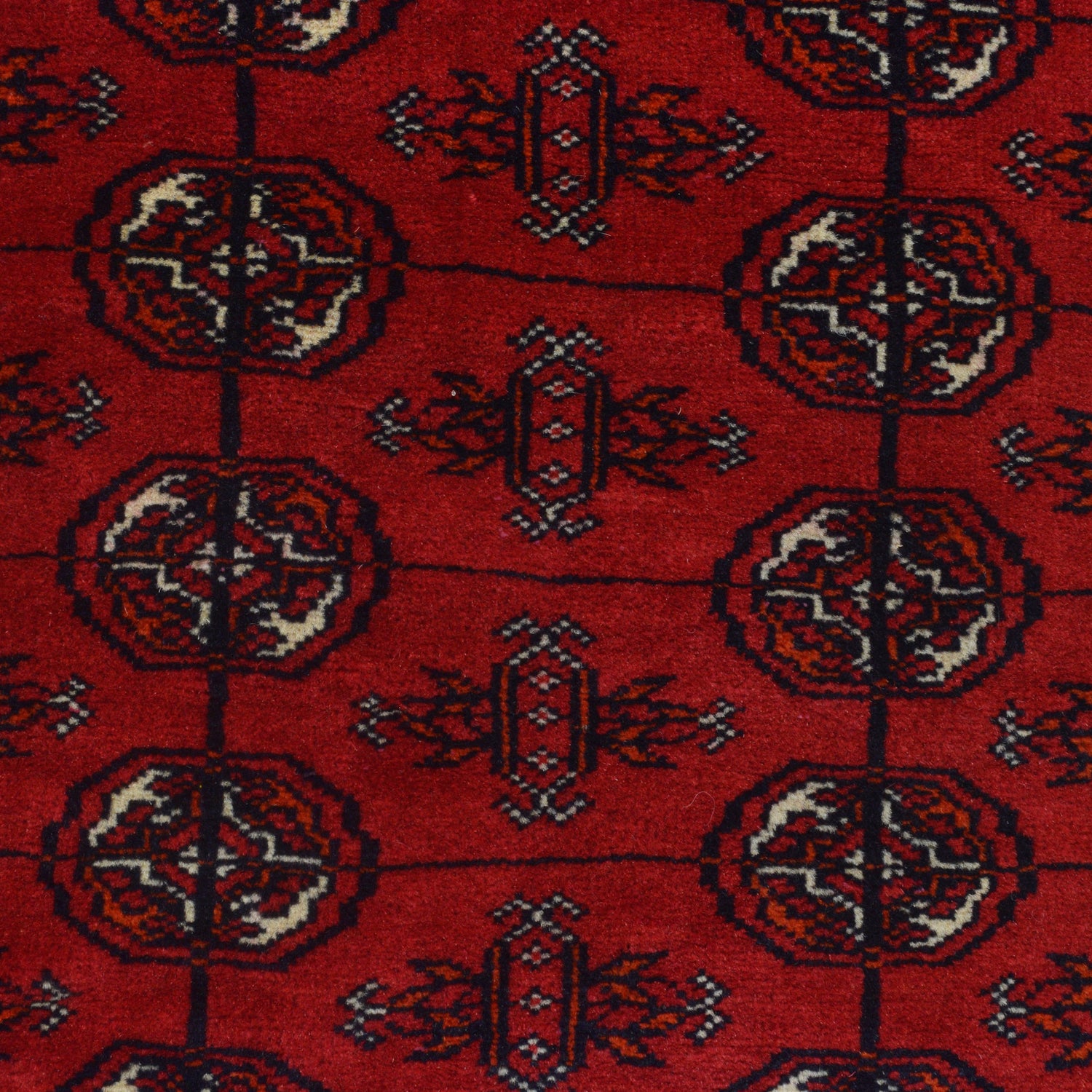 Hand Knotted Bokhara Wool Runner Rug 2' 7 x 6' 3 (ft) - No. G22933