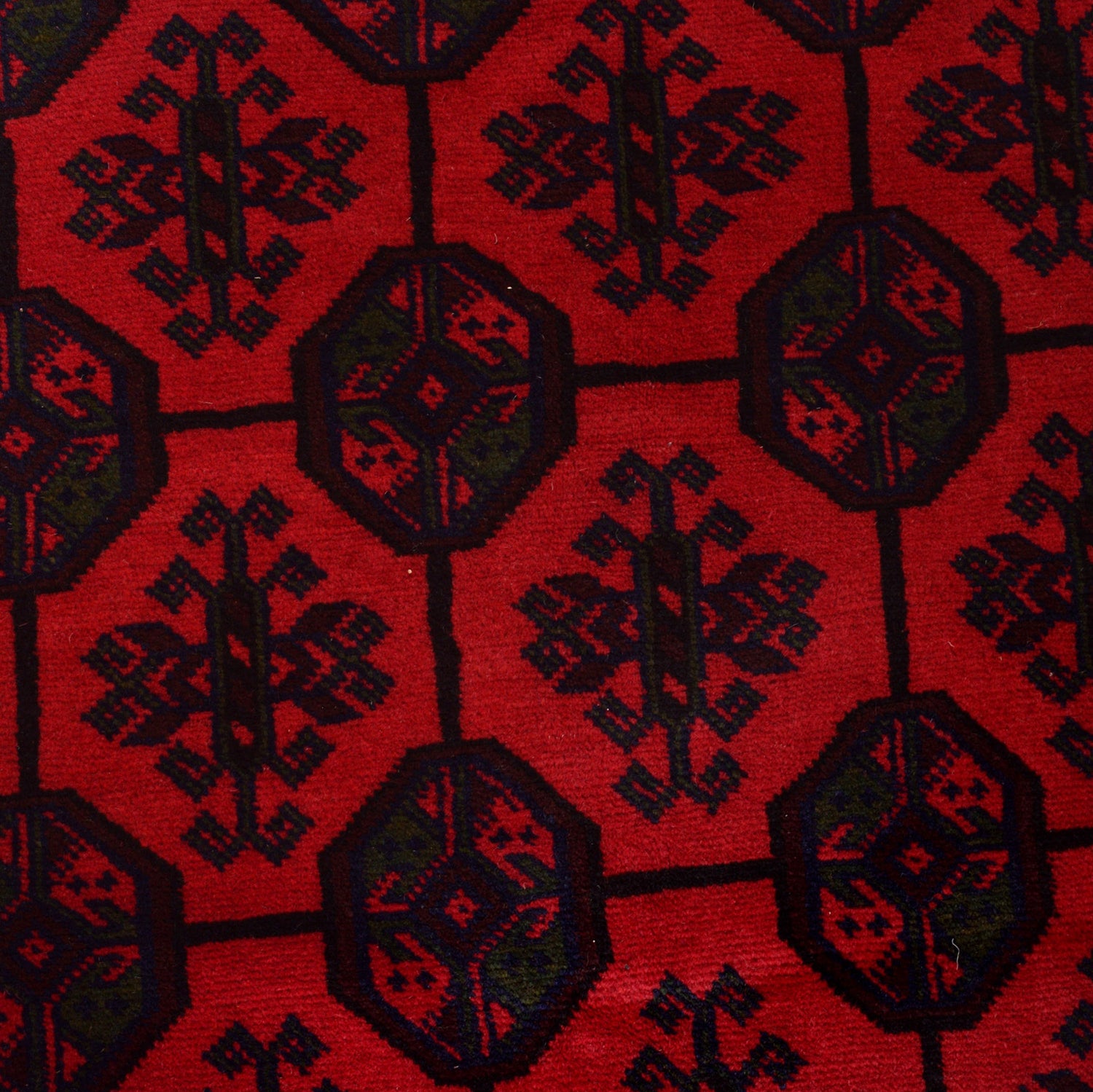 Hand Knotted Baluchi Rug 9' 1" x 12' 2" (ft) - No. G24928