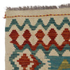 Vegetable Kilim Runner 2' 9" x 6' 9" (ft)- No. P36175