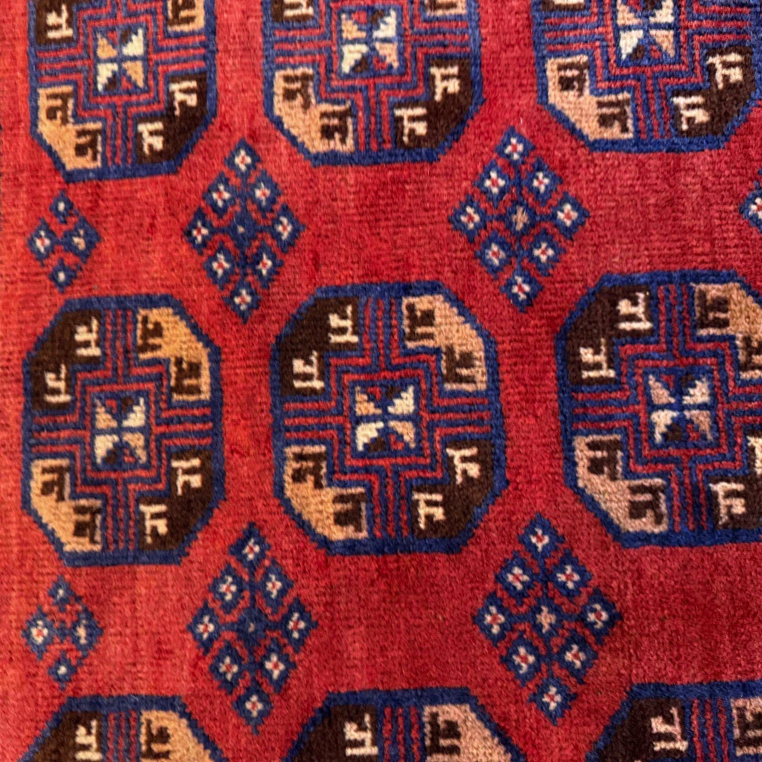 Baluch Small Size Rug 2' 9" x 4' 8" (ft) - No. P36321