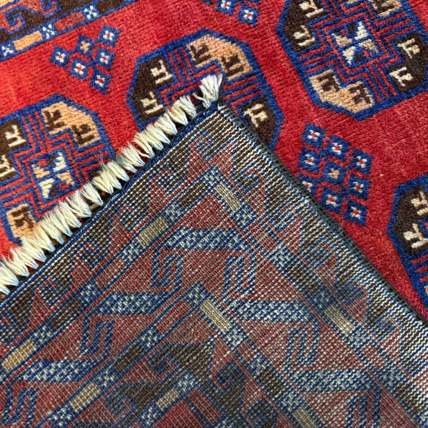 Baluch Small Size Rug 2' 9" x 4' 8" (ft) - No. P36321