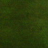 Green Overdyed Rug 2' 8 x 4' 4 (ft) - No. R22970