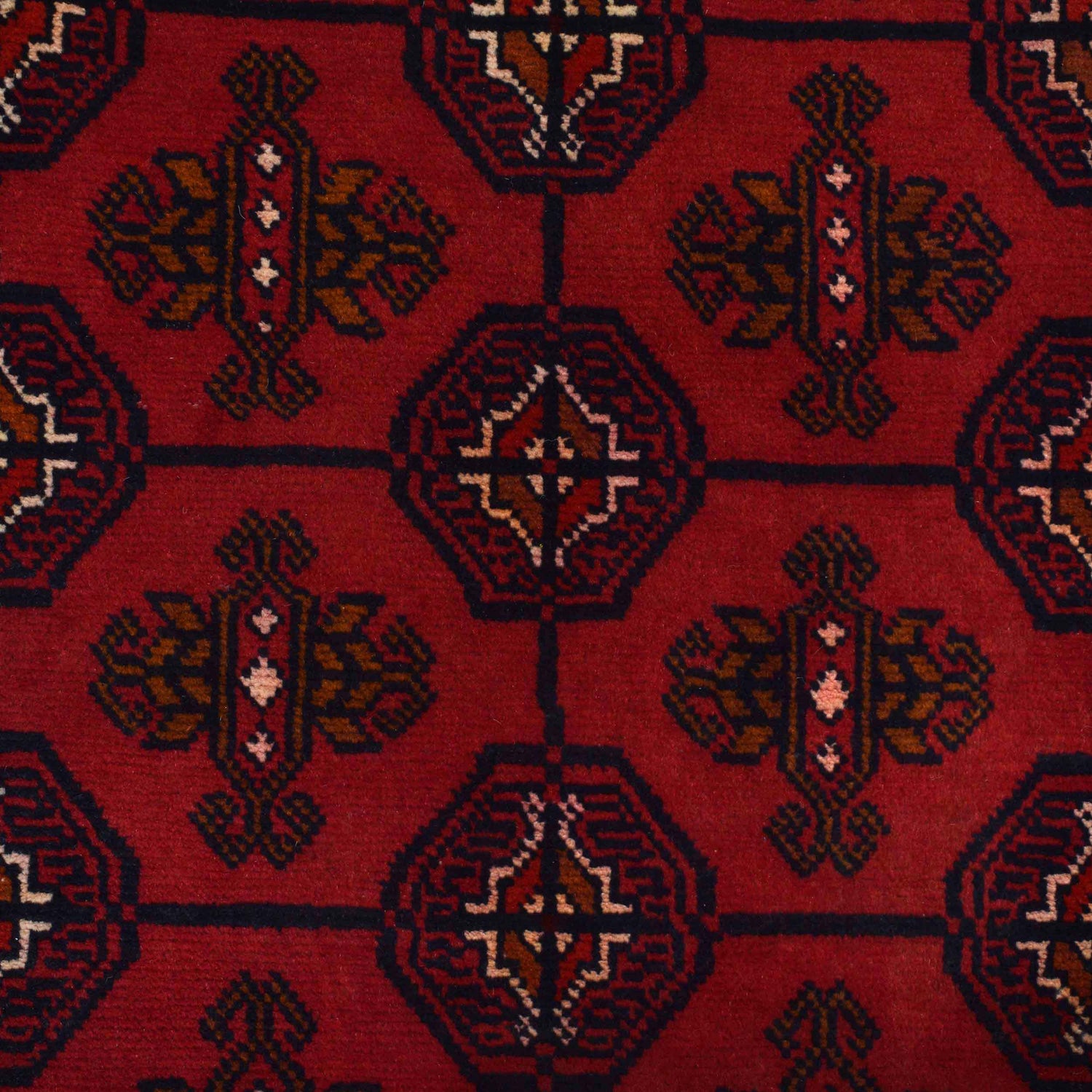 Hand Knotted Bokhara Wool Carpet 3' 10" x 6' 2" (ft) - No. W12931