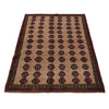 Hand Knotted Baluchi Rug 4' 3" x 6' 5" (ft) - No. W28021