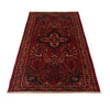 Baluch Small Size Rug 2' 4" x 4' 3" (ft) - No. W35580