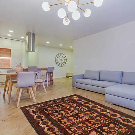 Baluchi Rug 2' 7 x 4' 7 (ft) - No. G20018