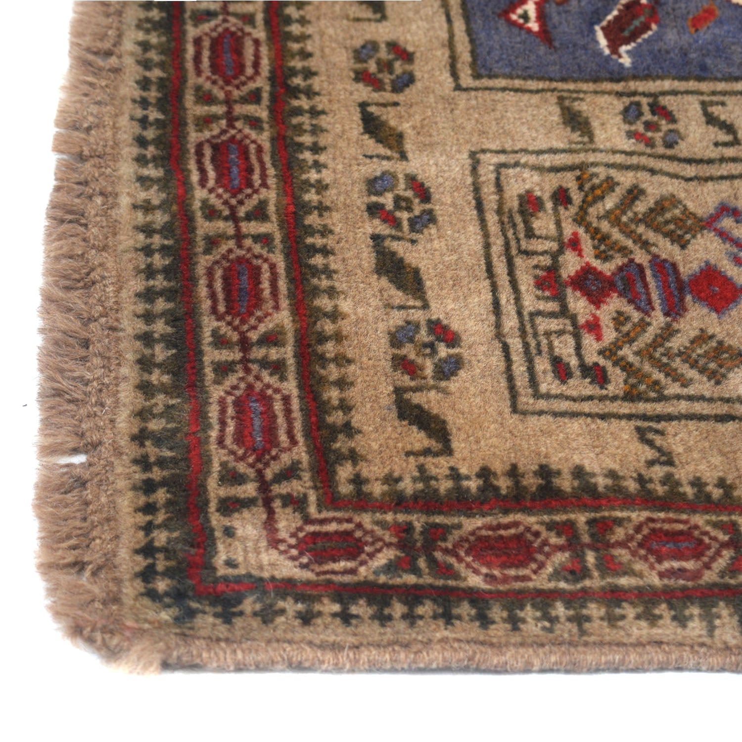 Baluchi Rug 2' 8 x 4' 2 (ft) - No. W11920